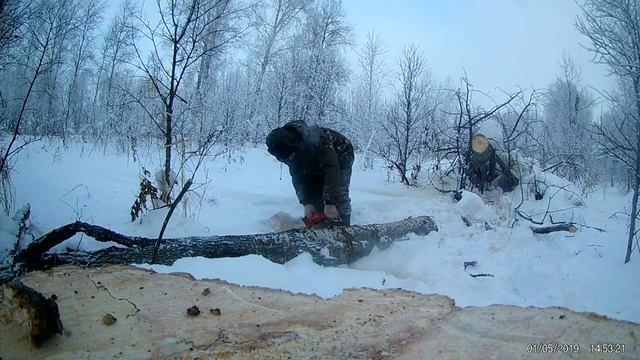 Поездка в лес за валежником на снегоходе смотреть онлайн