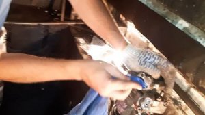 Ремонт кондиционера пассат б5. Часть 2. Будни пассатовода.