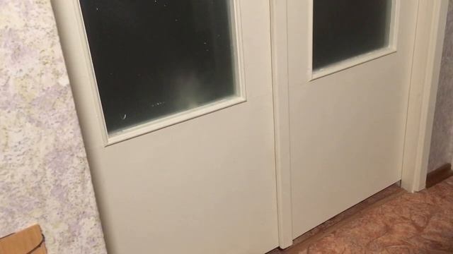 Свободу честным котам!