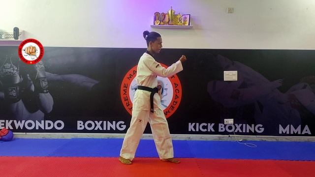 Taekwondo Poomse 1 - Step By Step Demonstration #poomsae #taekwondo #martialarts
