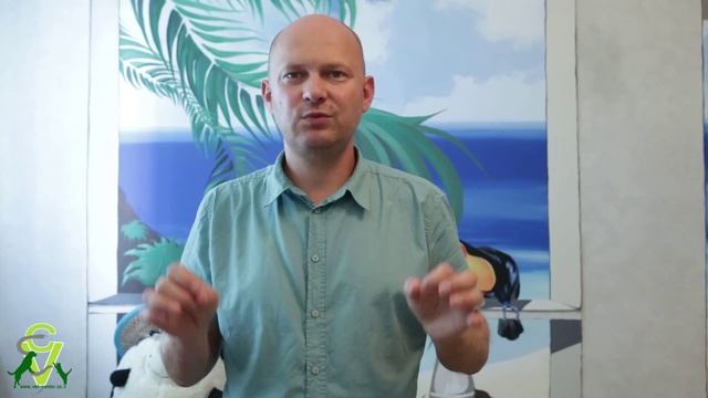 Как бороться с глистами у взрослых кошек 052-2506596 смотреть онлайн