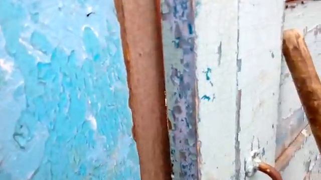 КУРЫ НЕСУШКИ ИЗ ПОД НАСЕДКИ. смотреть онлайн