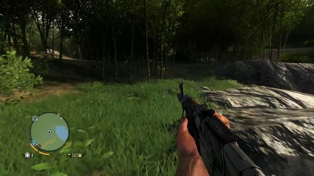 Прохождение Far Cry 3. Часть 4: Погибшие корабли и пираты на камеру