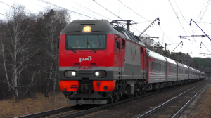 Лягушка на путях и ЭП2К-278 со скорым поездом Казань — Новый Уренгой