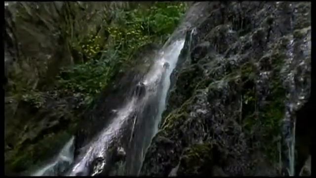 Aqueena смотреть онлайн