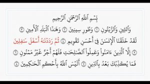 Сура 95 Ат-Тин. Учебное чтение Корана.