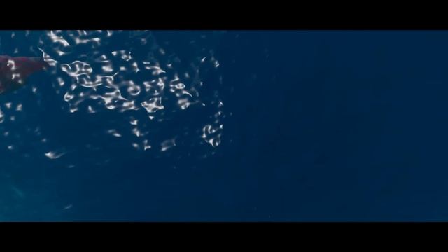 Pandamonium WIP Trailer смотреть онлайн