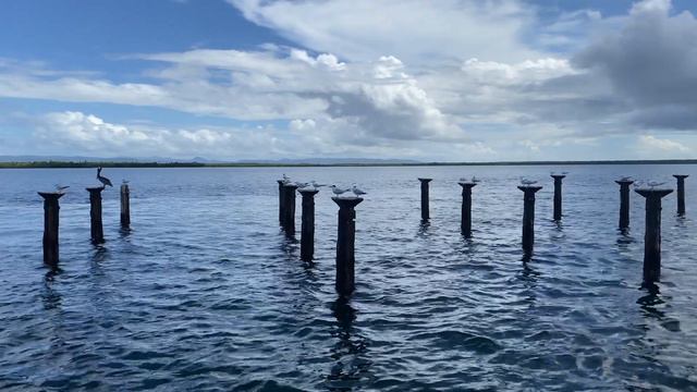 Расслабляющее видео Доминикана смотреть онлайн