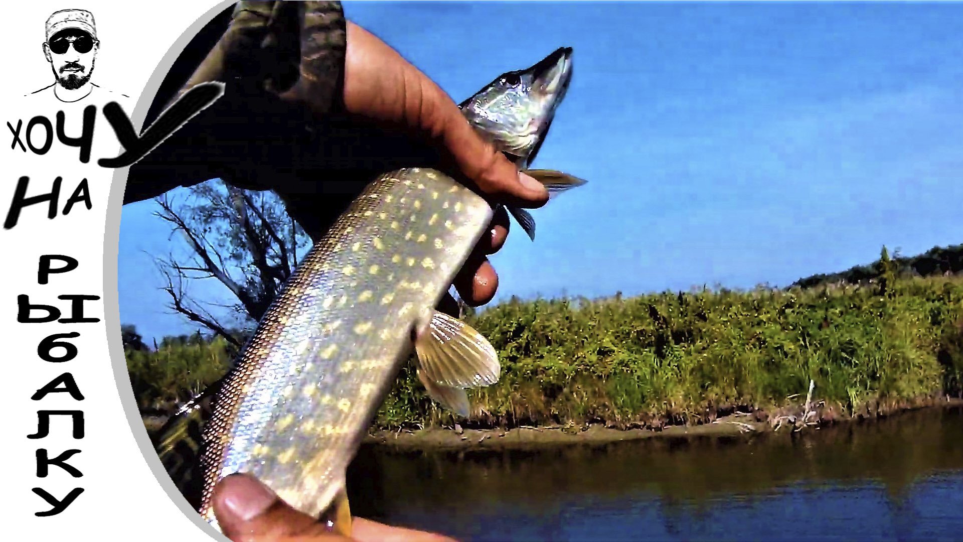 Рыбалка на протоке. Вода поднимается. Рыбу приходится уговаривать. 27.08.2019 смотреть онлайн