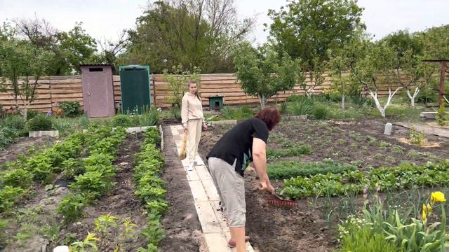 Vlog/ УКРАТИТЕЛЬНИЦА КОТОВ / КУКЛАЧЕВ В ЮБКЕ смотреть онлайн