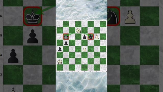 Должен знать каждый #шахматы смотреть онлайн