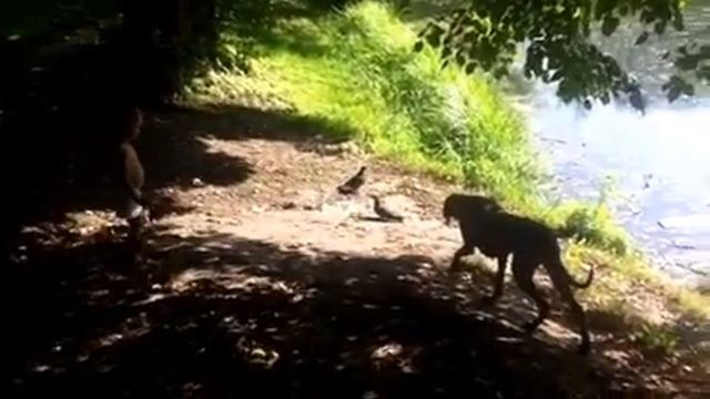 Охота смотреть онлайн