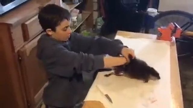 Wilderness Boy - How to Skin a Muskrat смотреть онлайн