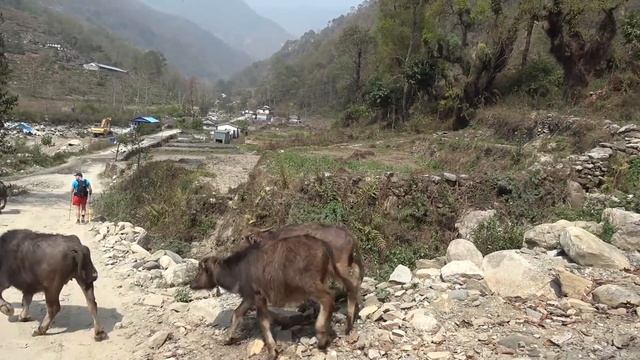 Поход в Гималаи, и горные дороги Непала! Как живут люди в горах? Непал 2021