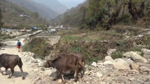 Поход в Гималаи, и горные дороги Непала! Как живут люди в горах? Непал 2021