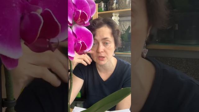 Вопрос- ответ смотреть онлайн