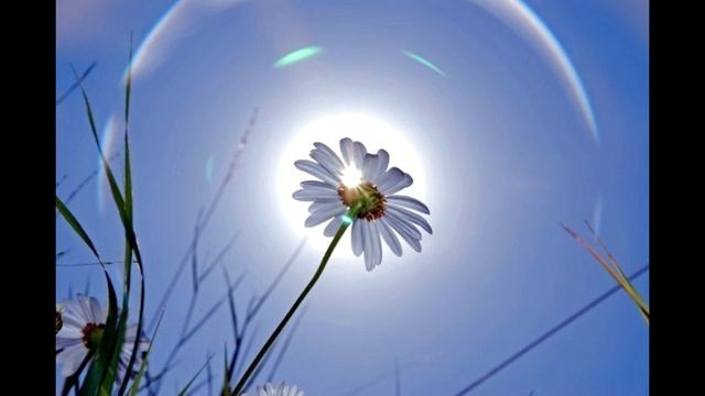 ЕДИНСТВО ОДНОПОЛЯРНОГО МЫШЛЕНИЯ Переход в 5 измерение 2019 Отец АБСОЛЮТ приняла Марта смотреть онлайн