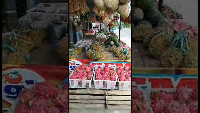 Nyapa Siang temen2 sambil review harga buah d kios смотреть онлайн