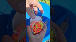 Флэт Фидер #флэтфидер #fishing #рыбалка #ловлякарпа #carpfishing #ловлярыбы #flatfeeder #carp