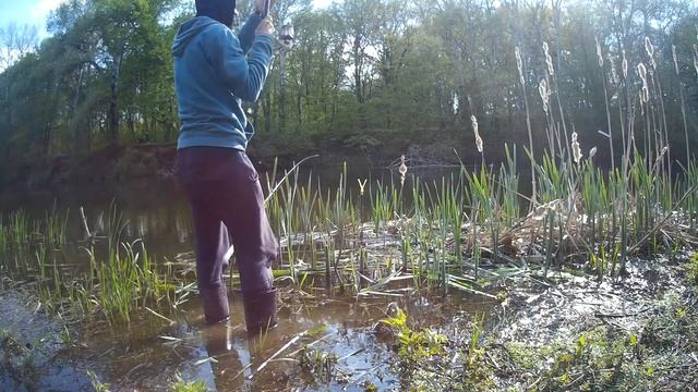 Голавль на корку хлеба весной. ЛОВЛЯ ГОЛАВЛЯ НА КОРКУ ХЛЕБА.