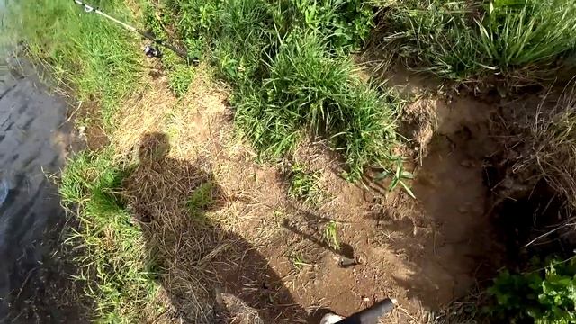 РАБОЧИЙ МОНТАЖ.РЫБАЛКА НА ДОНКИ.fishing,bushcraft,nature,camping. смотреть онлайн