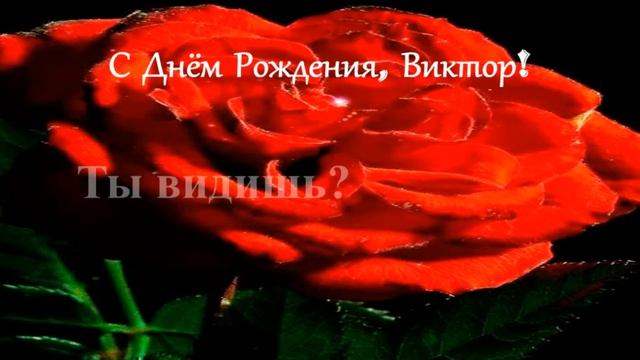 С Днём Рождения, Виктор! смотреть онлайн