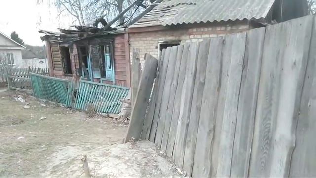 МЕЧТЫ МАКЛЕЙНА18+