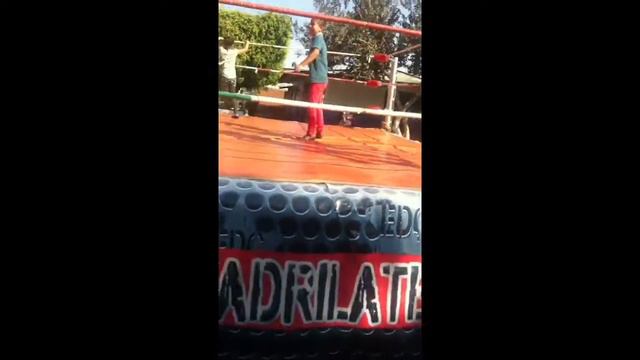 aventadas con canelo Javier y Alexis смотреть онлайн