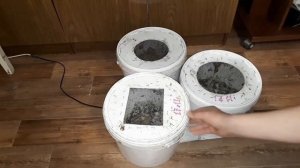 ПЖВМ-продукты жизнедеятельности восковой моли.- Огневки