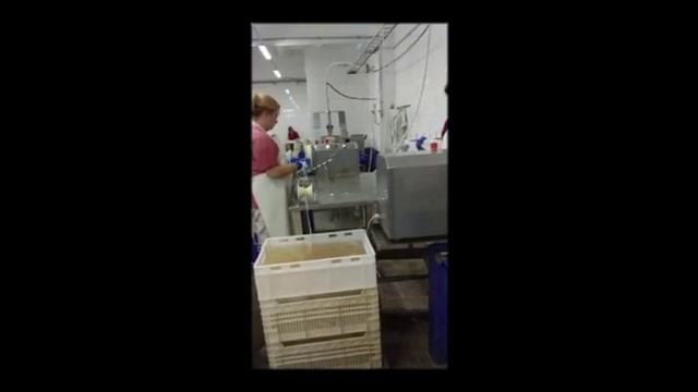 СТОЛ КАЛИБРОВОЧНЫЙ ПОЛУАВТОМАТИЧЕСКИЙ смотреть онлайн