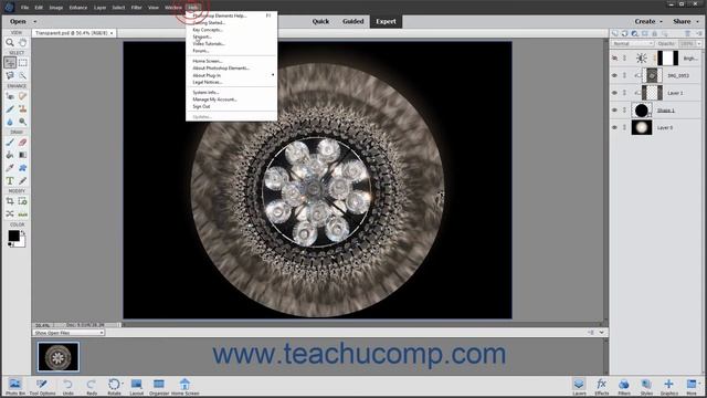 Photoshop Elements 2021 Tutorial Online Updates Adobe Training смотреть онлайн