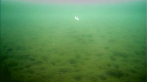 Подводная камера Язь 52 Актив плюсы и минусы