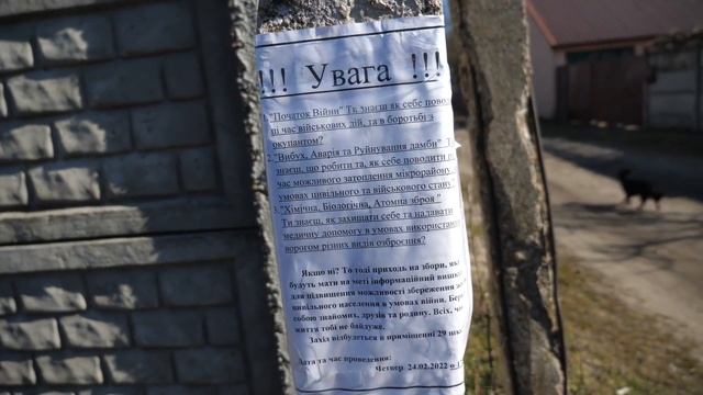 VLOG Сирена застала в магазине. Растерялась. Украина. 25 февраля смотреть онлайн