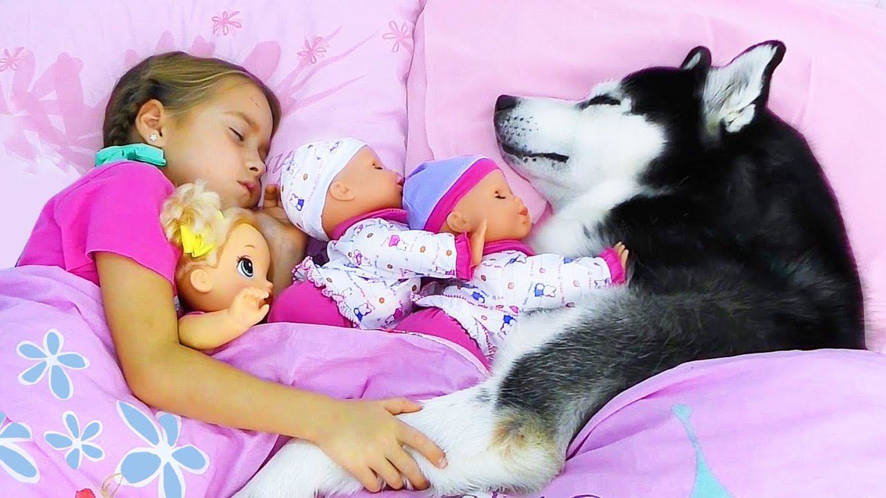 София и её истории для детей про Любимые игрушки и Собаку смотреть онлайн