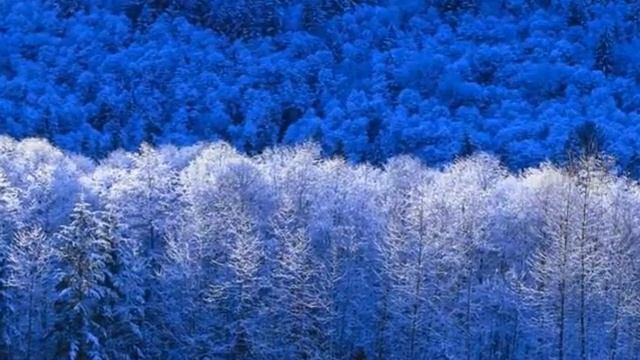 Самодельная картина смотреть онлайн
