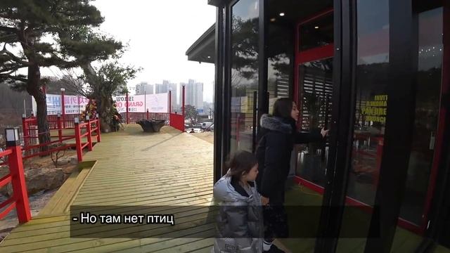 Корейский ресторан+ Кафе с попугаями! Влог с девчонками ;)