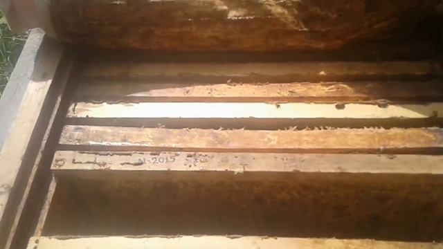 Богатый пчеловод ПОДГОТОВКА ПЧЕЛ К ЗИМЕ смотреть онлайн