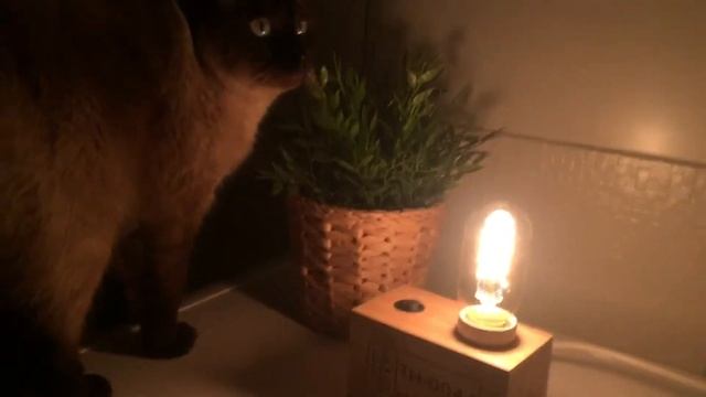 Ночник светильник PAROVOZ loft стиль смотреть онлайн