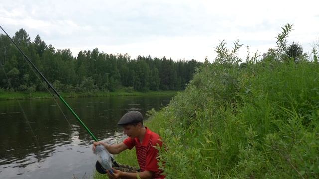 Рыбалка на ельца на таёжной реке. КРУПНЫЙ ЕЛЕЦ. смотреть онлайн