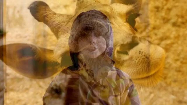 Жирафе Радуге 2 года! Варвара Хлонина, Макар Семенов и Илья Попов. смотреть онлайн