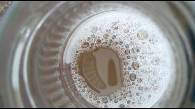 Черемша - руководство по выращиванию смотреть онлайн