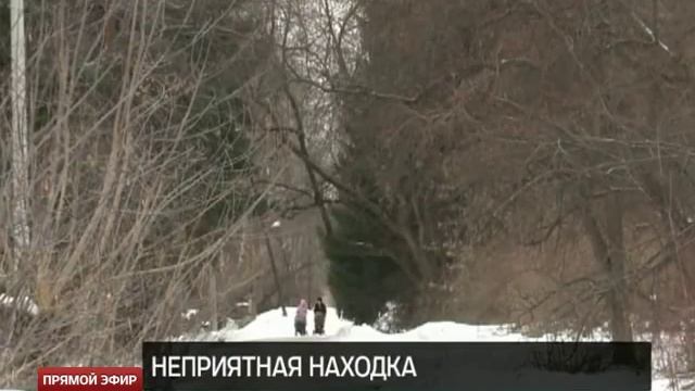 В Ботаническом саду Екатеринбурга обнаружен труп пони смотреть онлайн