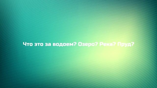 Психологический тест:Прогулка в лесу смотреть онлайн