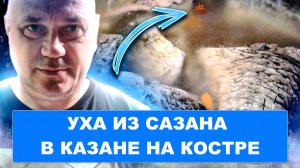 Уха из свежего крупного сазана в казане на костре.