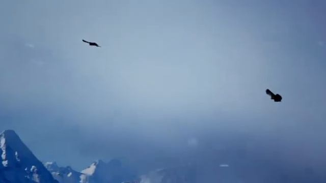 Сердце гор Yamaha cover смотреть онлайн