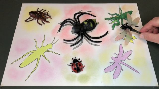 Zuru Robo Alive - Robotic Crawling Spider and Cockroach | Learn The Name of Insects and Animals смотреть онлайн