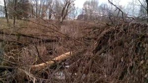 Квадроцикл JIANSHE 250ATV Заготовка дров