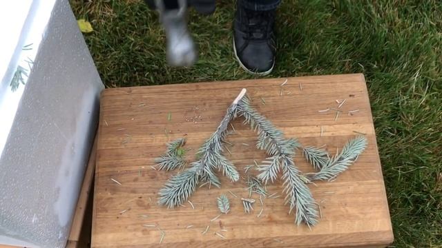 Замораживаю в ЖИДКОМ АЗОТЕ веточку, губку, листья смородины, бумагу, перо павлина и деревяшку!!! смотреть онлайн