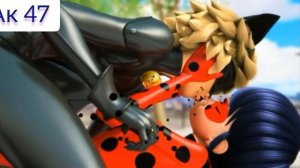 Леди баг и супер кот "дикая львица"