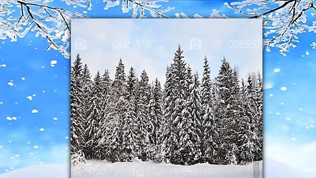 Деревья зимой смотреть онлайн